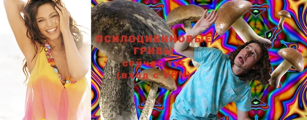 spice Баксан