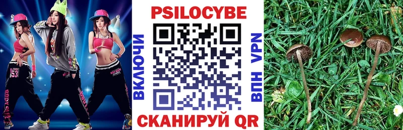 kraken   Чусовой  Галлюциногенные грибы MAGIC MUSHROOMS  закладки 