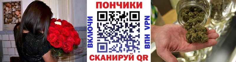 Бошки Шишки ГИДРОПОН  купить   Чусовой 